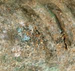P6278434