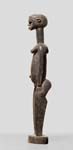 PB237528