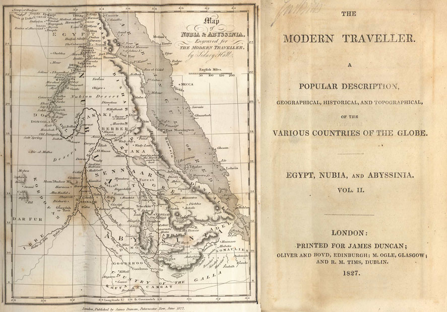 P42138824