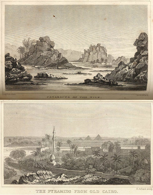 P42138825