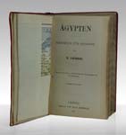 P4263913