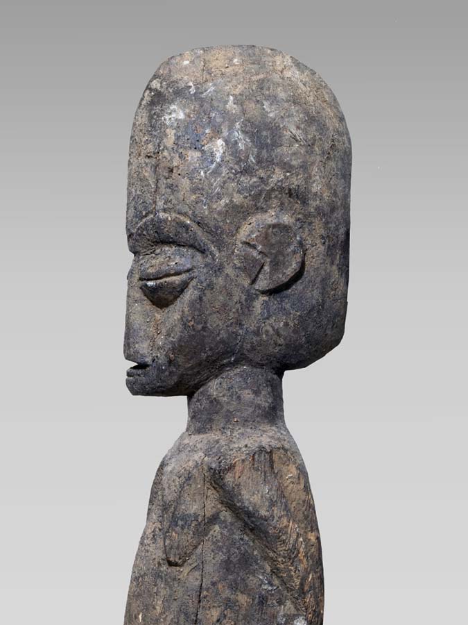 P4235425