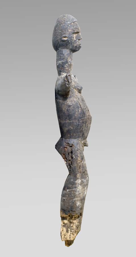 P4235449