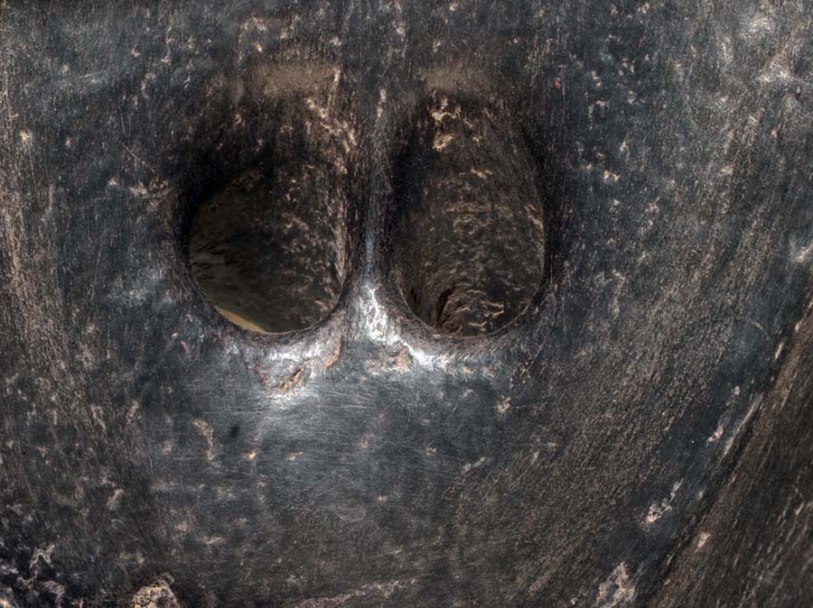 P6013807