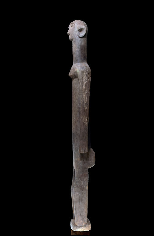 PC107601
