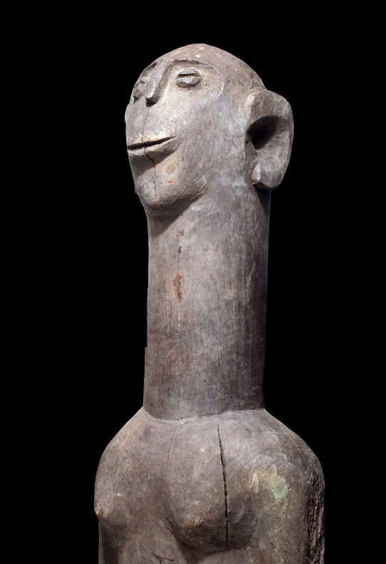 PC107609