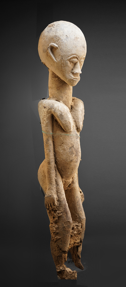 DSC00646