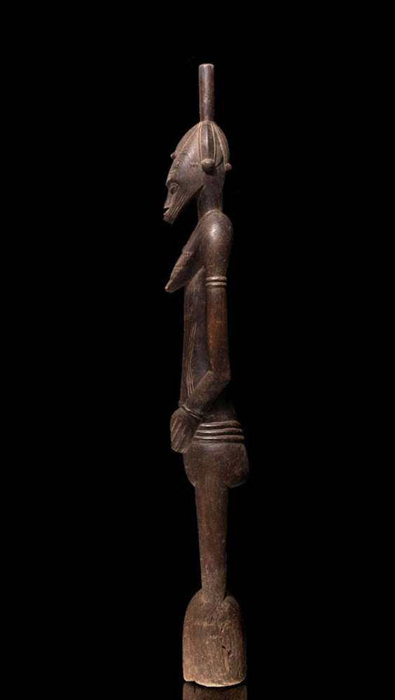 P7138191