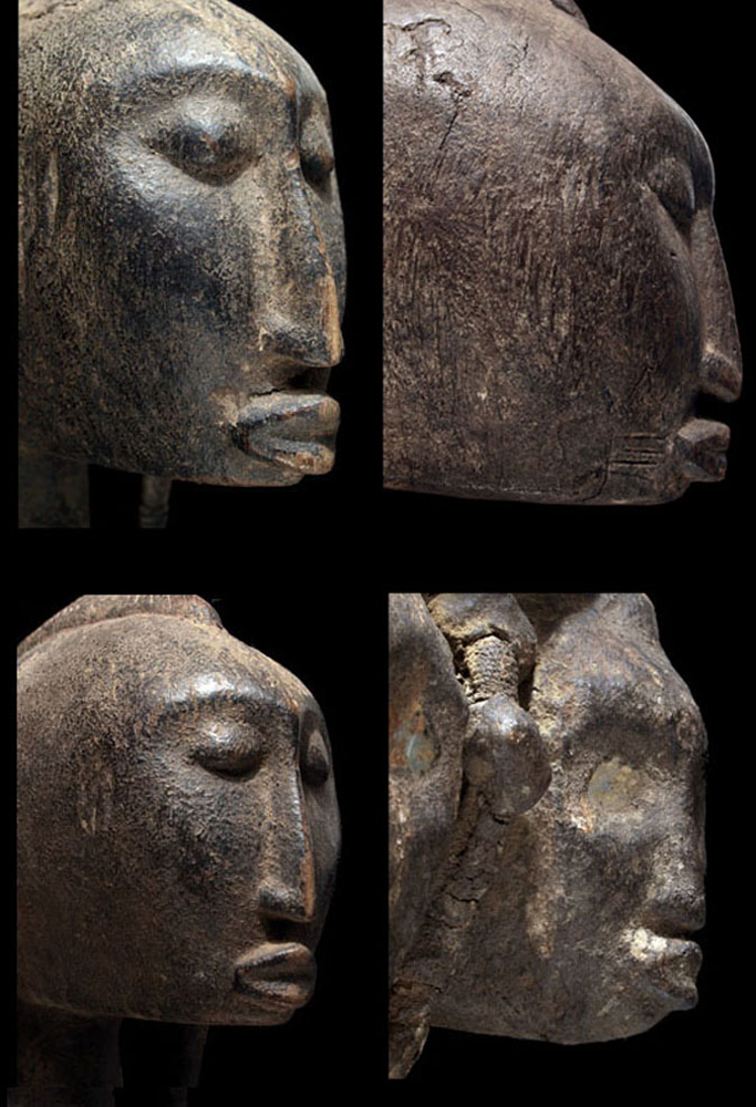 P22637251