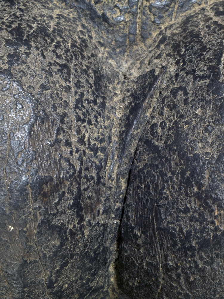 P3112758