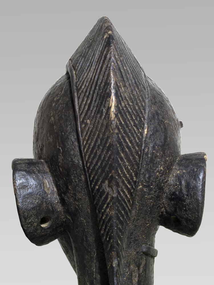 P3143115
