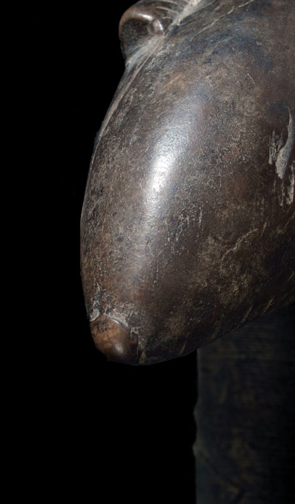 P3225768