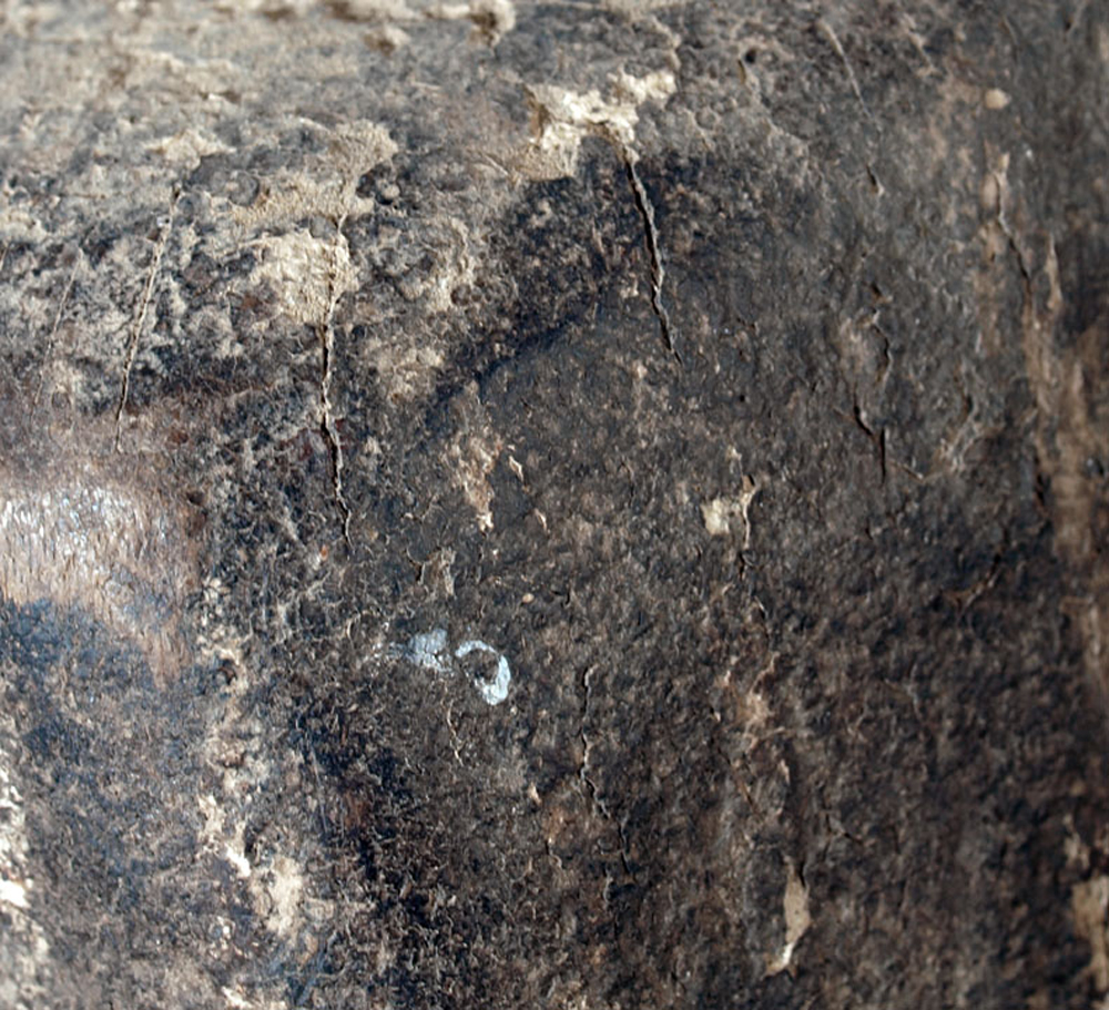 P3235865