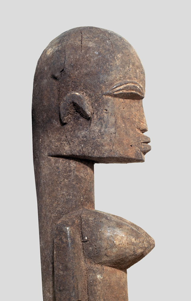 P4296551