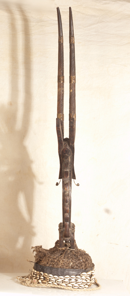 P4307854