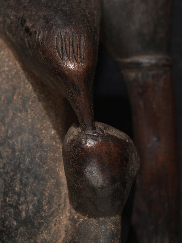 P5267078