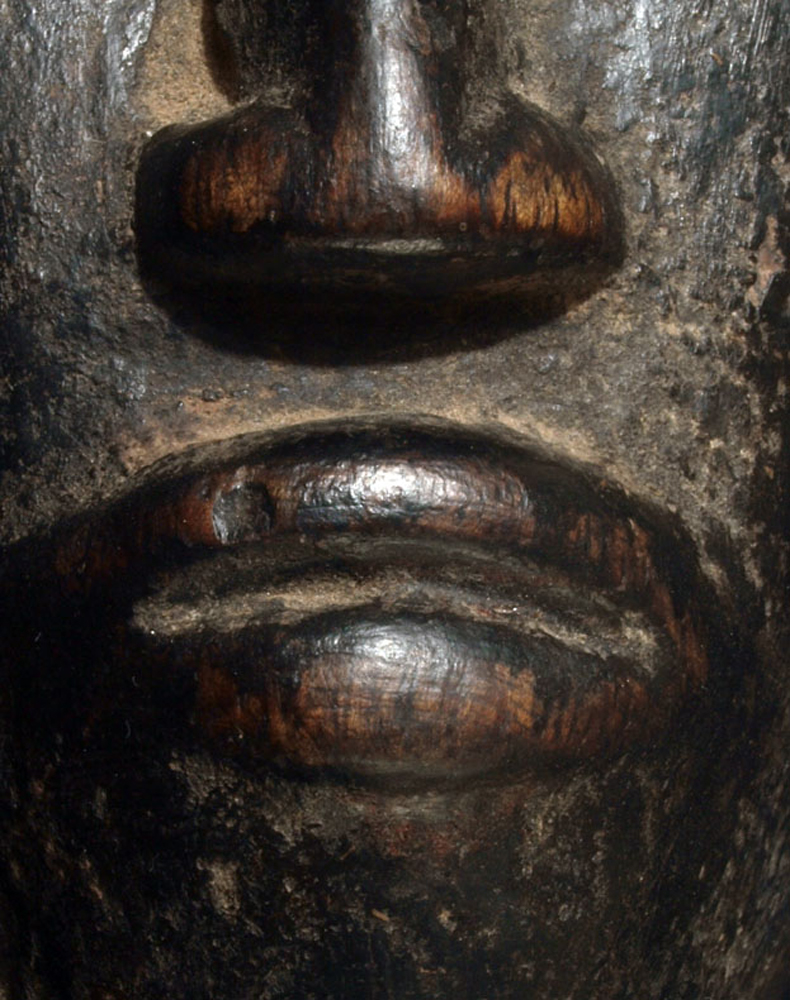P5295899
