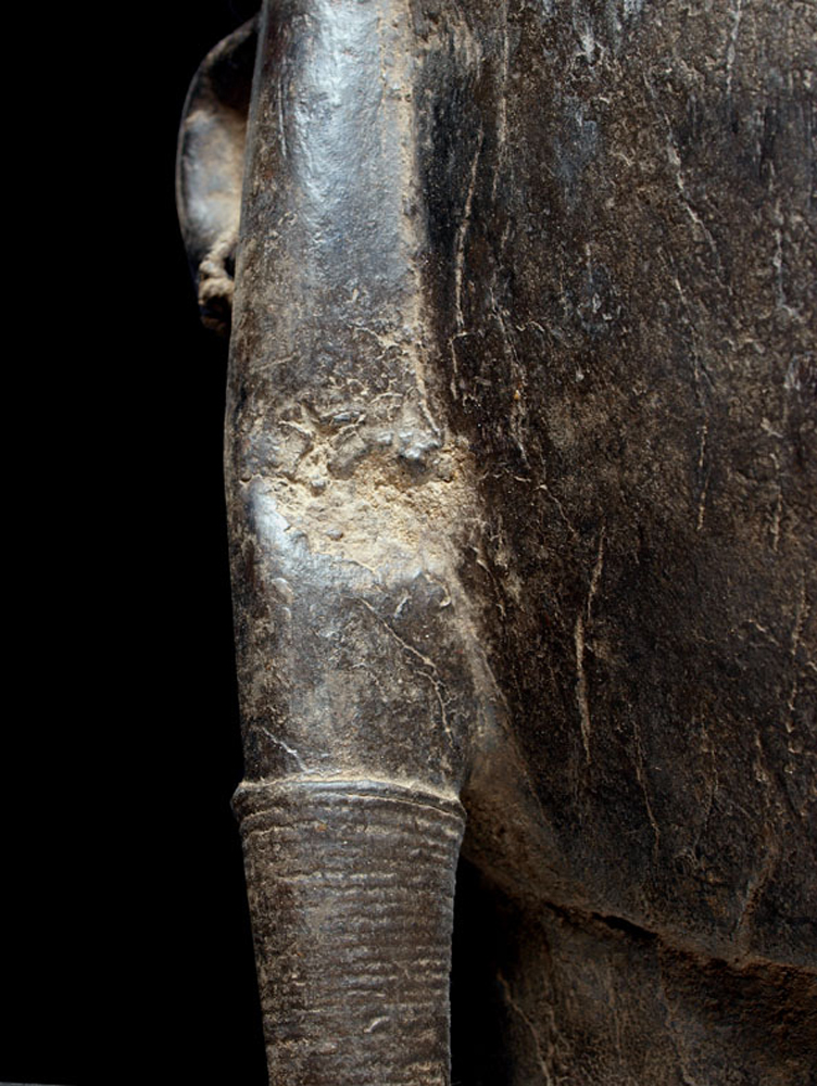 P5302929