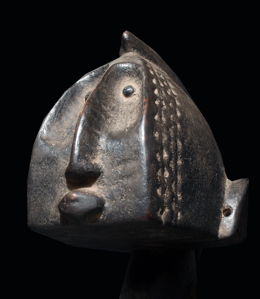 P6027928
