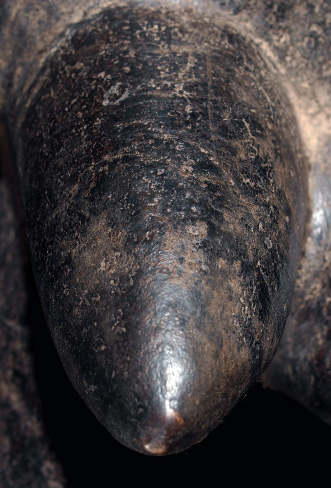 P6027946