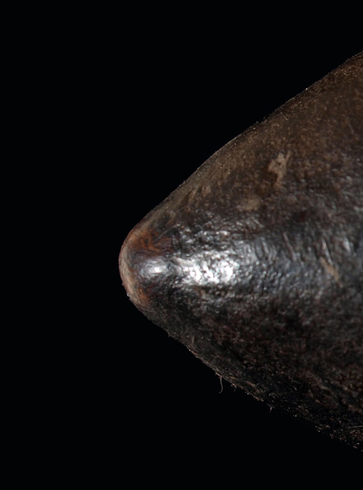 P6027953