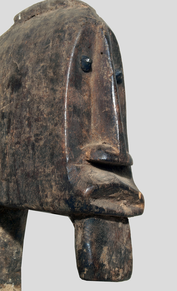 P7237715