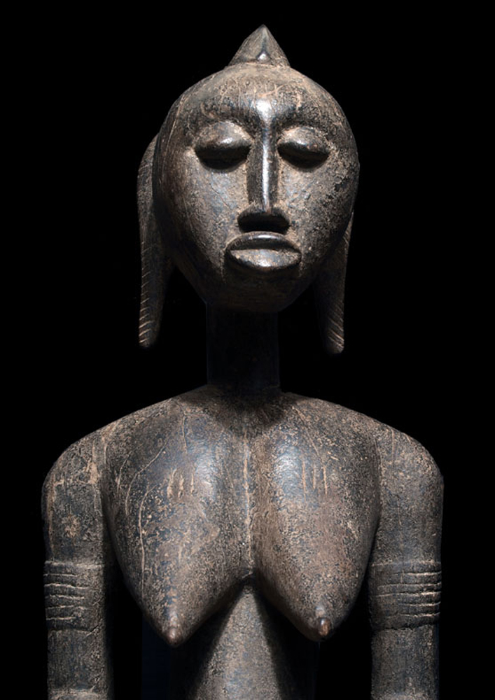 P8256899