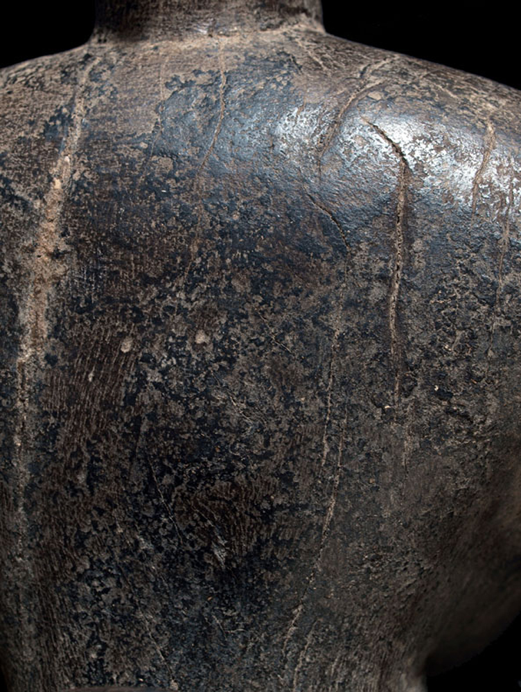 P8256917