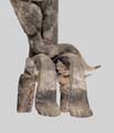 _R277150