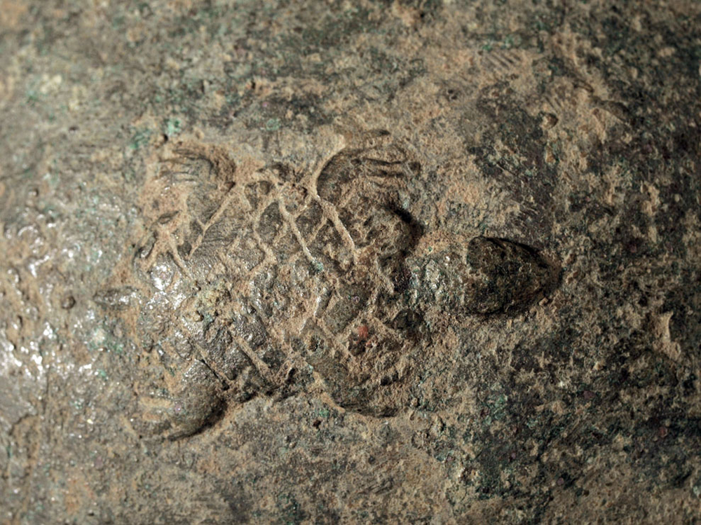 _R239404