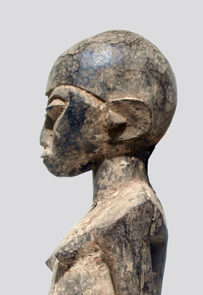 P1303641