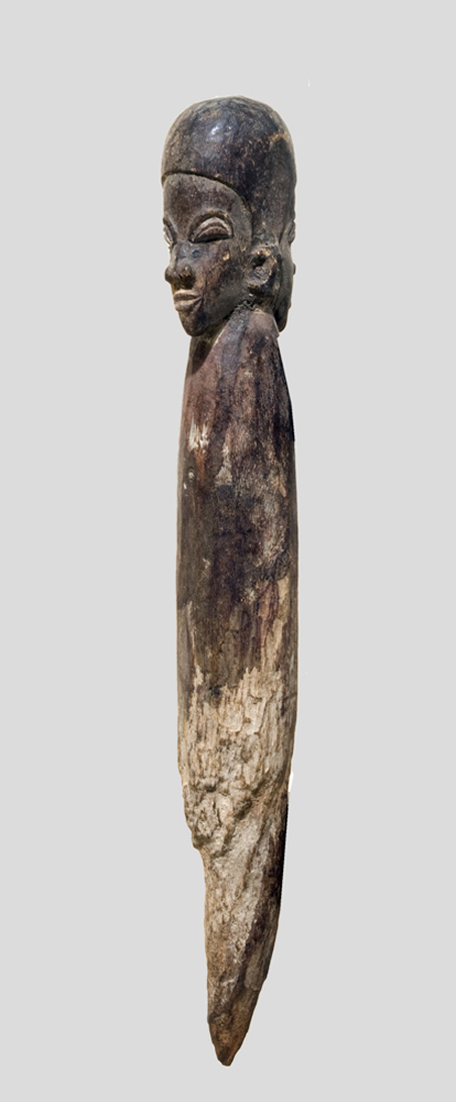 P4238246