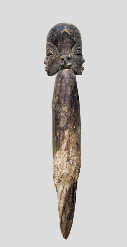 P4238247