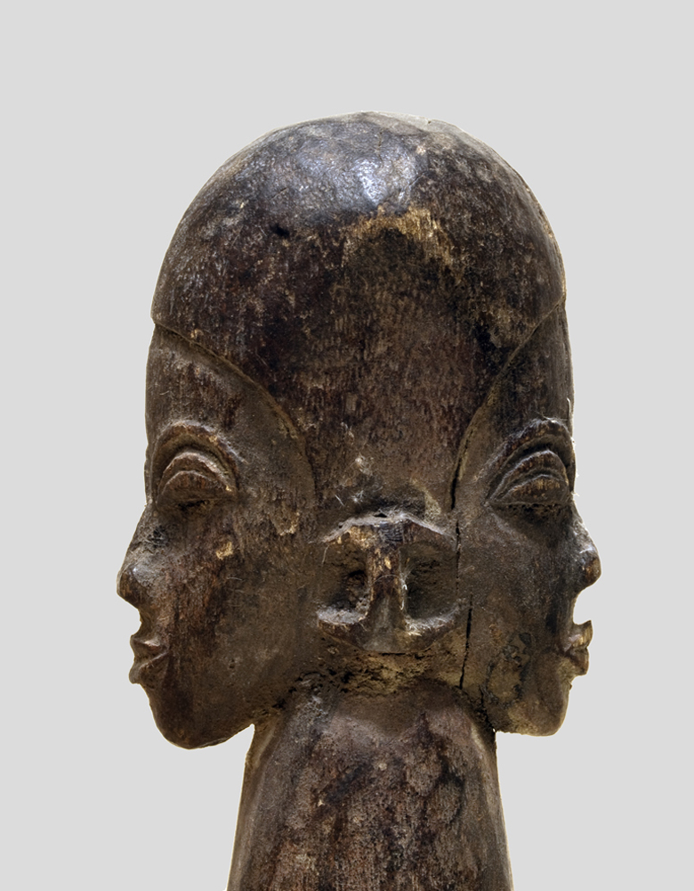 P4238253