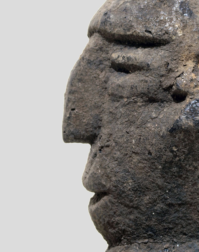 _R263224