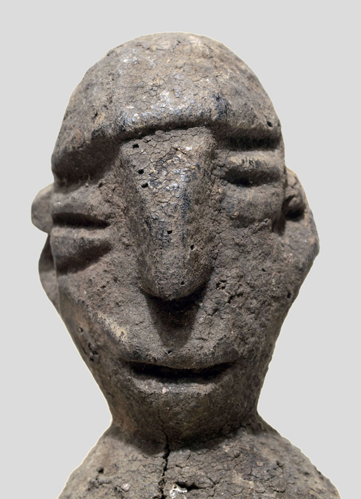 _R263234
