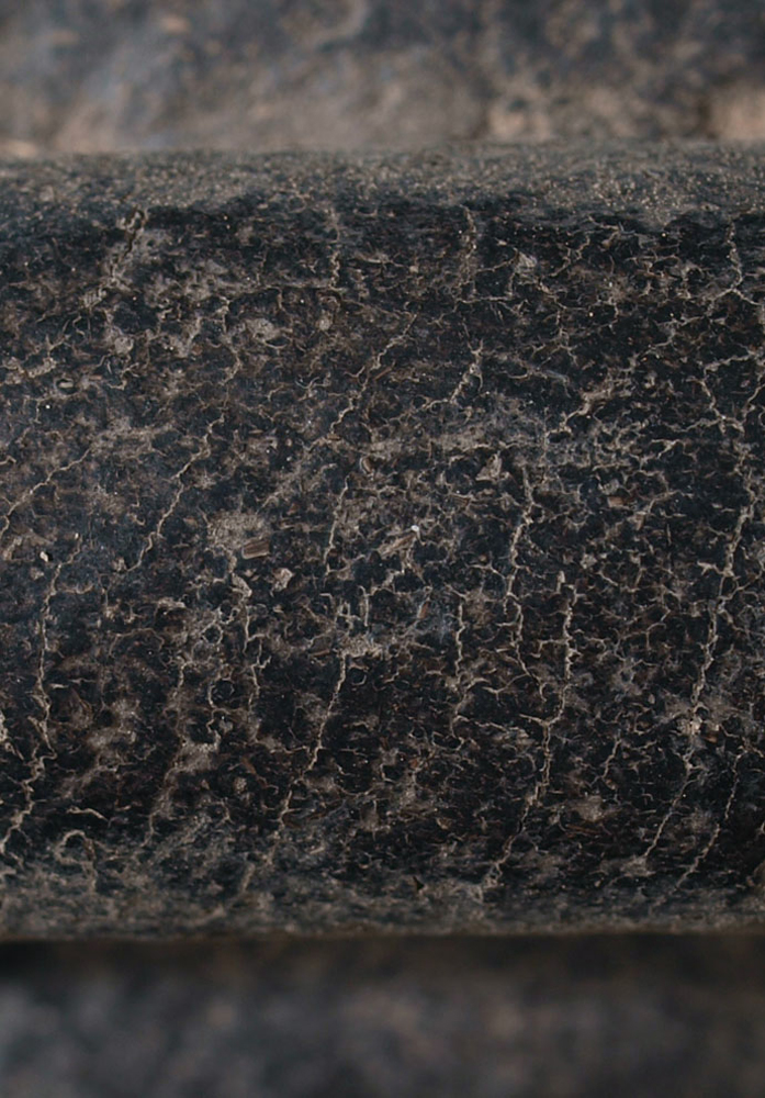P6027908