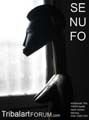 poster.senufo.mitt