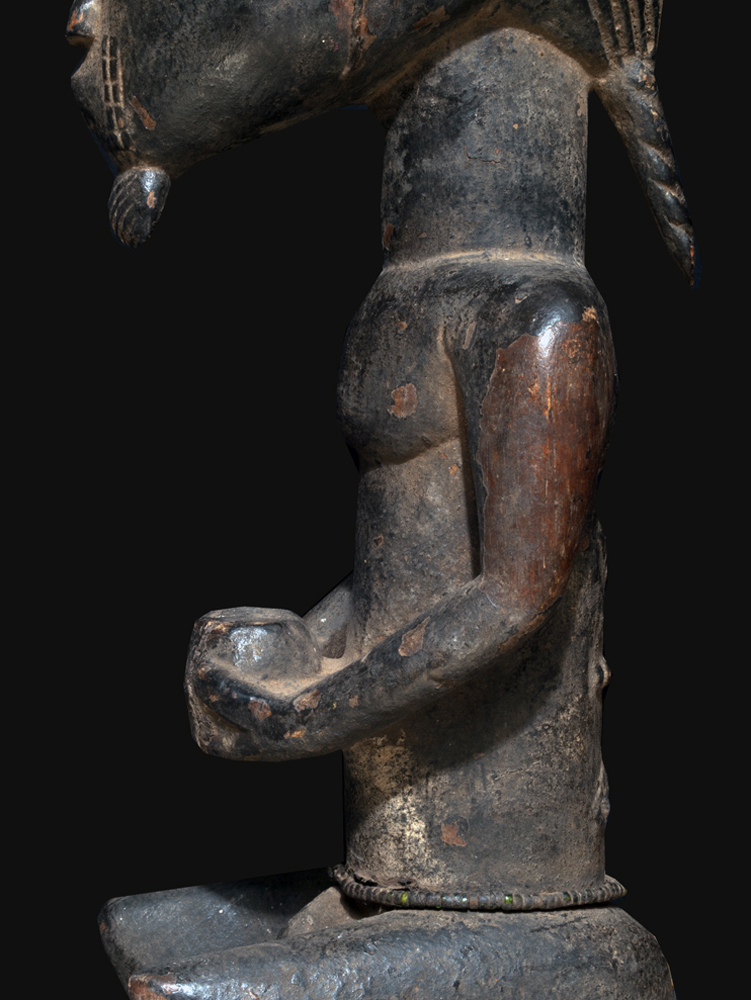 P6288482