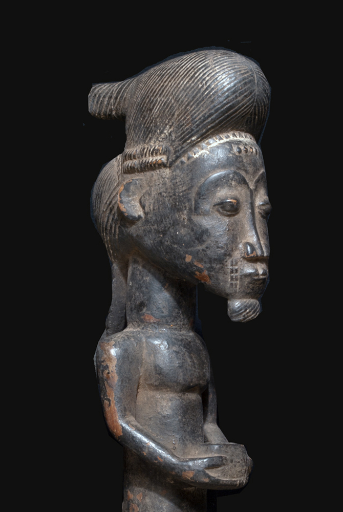 P6288491