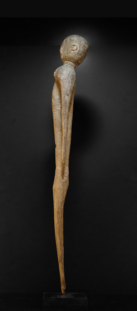 DSC01445