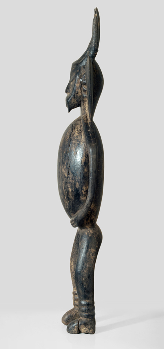 P5119822