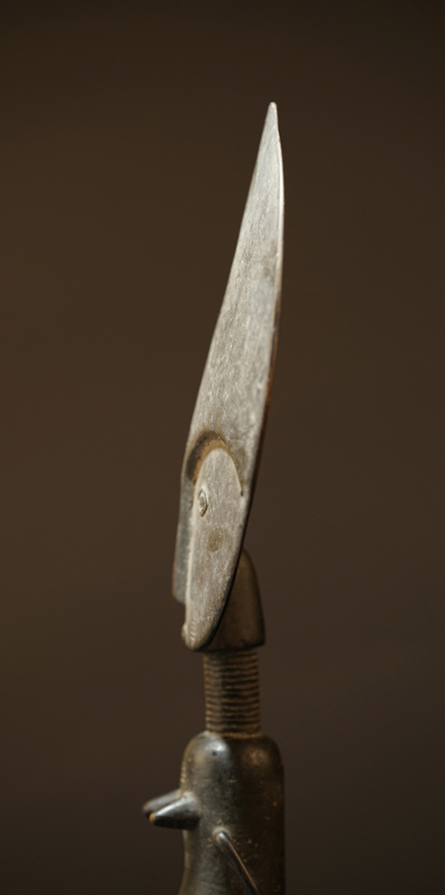 FSC08801