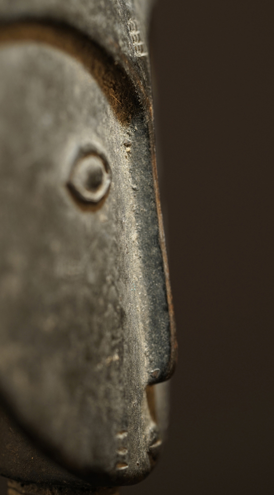 FSC08826_Kopie