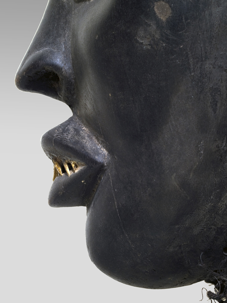 P4235773