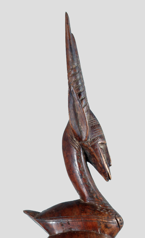 P1015230