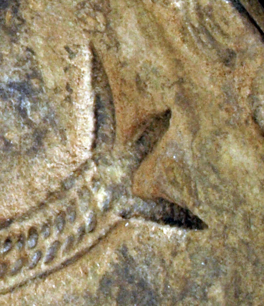 P6147278