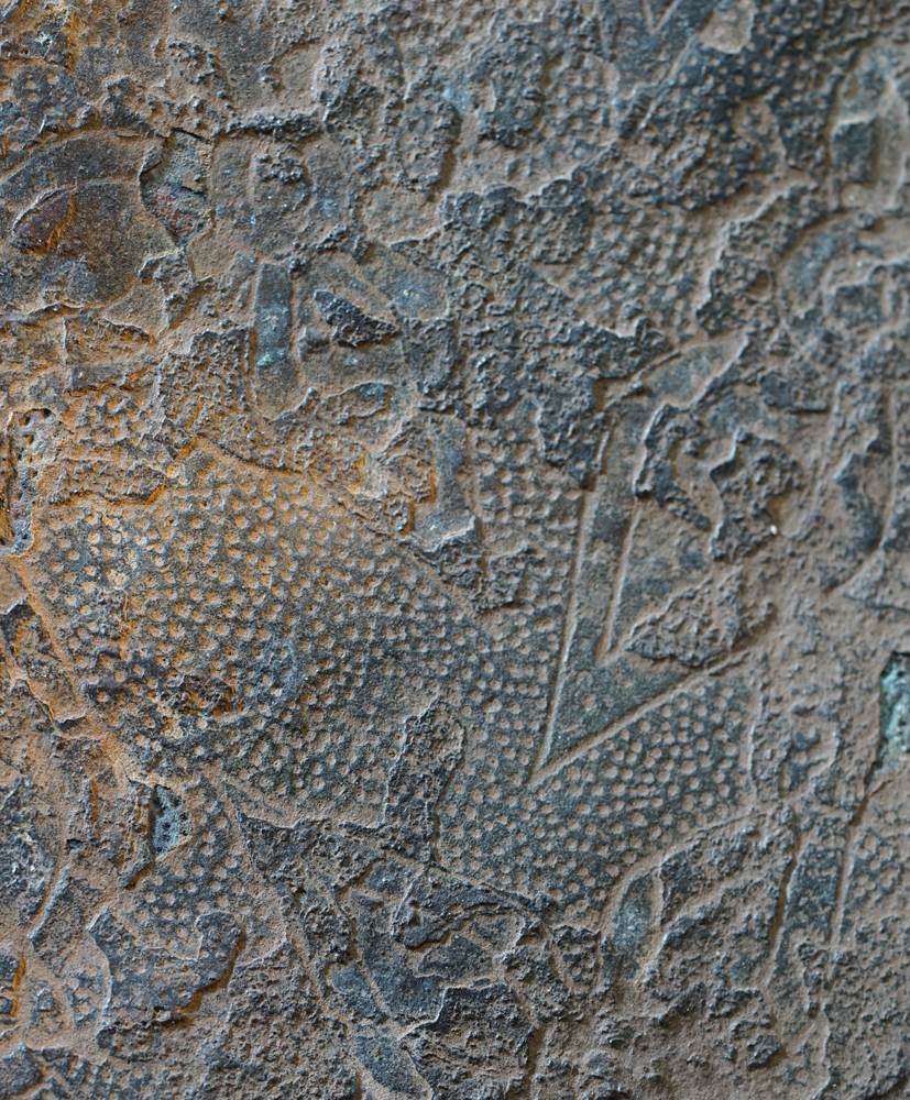 ASC02929