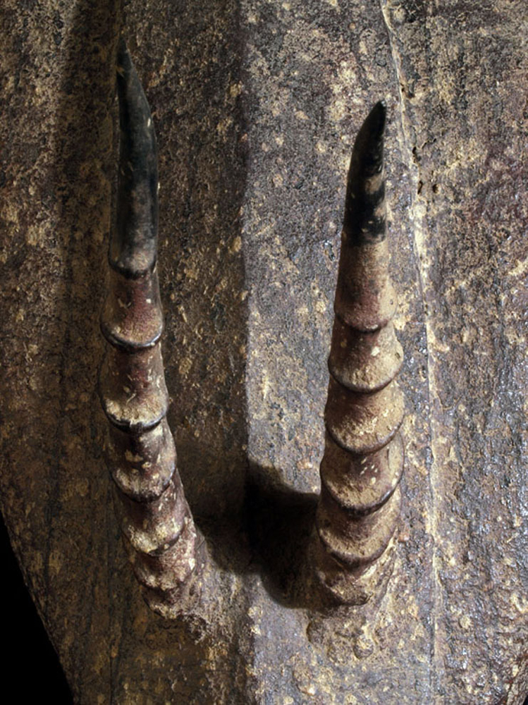P6218716