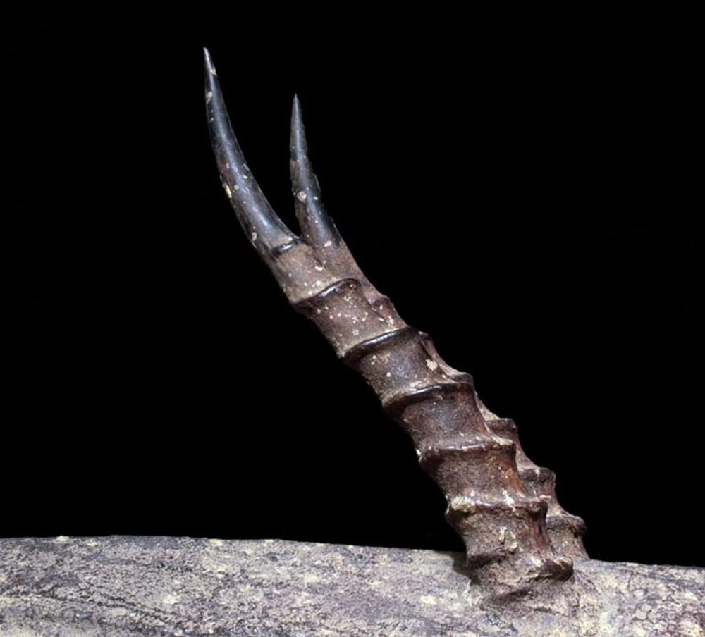 P6218718